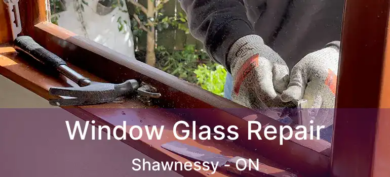 Window Glass Repair Shawnessy - ON