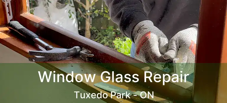Window Glass Repair Tuxedo Park - ON