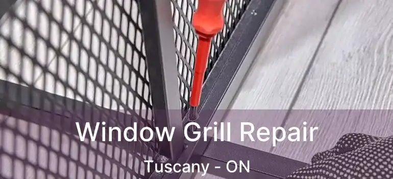Window Grill Repair Tuscany - ON