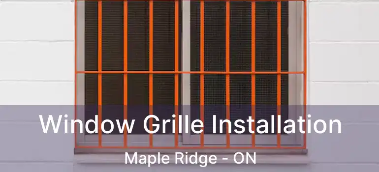 Window Grille Installation Maple Ridge - ON