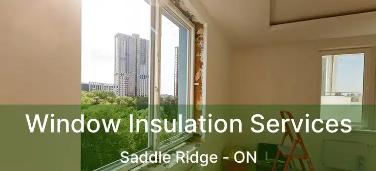 Window Insulation Services Saddle Ridge - ON