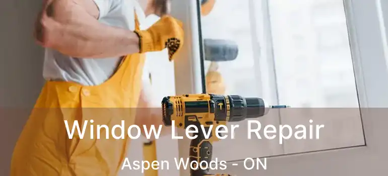 Window Lever Repair Aspen Woods - ON