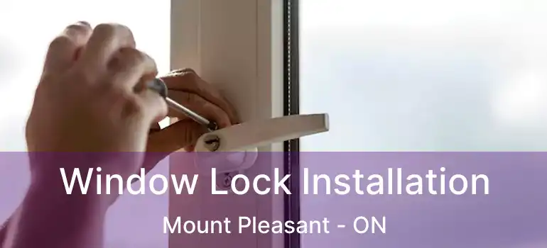 Window Lock Installation Mount Pleasant - ON