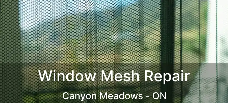 Window Mesh Repair Canyon Meadows - ON