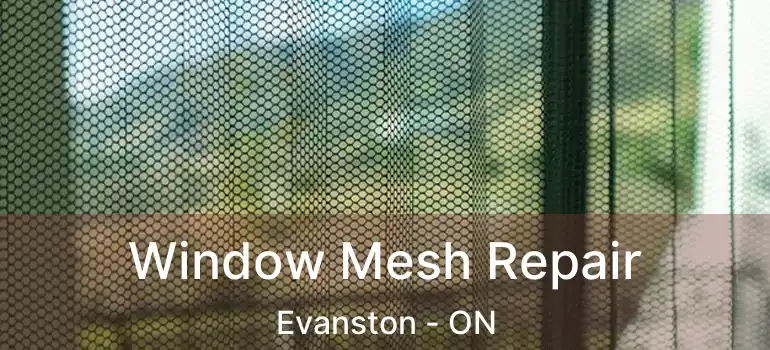 Window Mesh Repair Evanston - ON