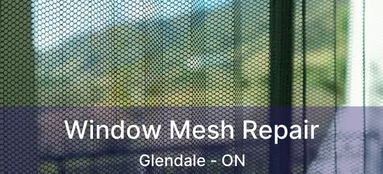 Window Mesh Repair Glendale - ON