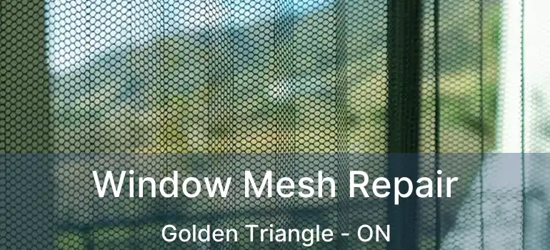 Window Mesh Repair Golden Triangle - ON