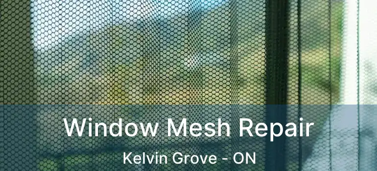 Window Mesh Repair Kelvin Grove - ON