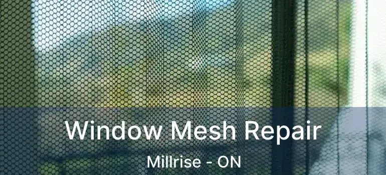 Window Mesh Repair Millrise - ON