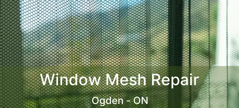 Window Mesh Repair Ogden - ON