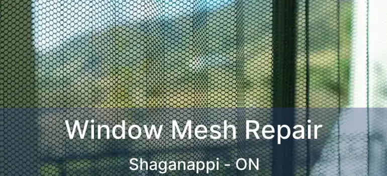 Window Mesh Repair Shaganappi - ON