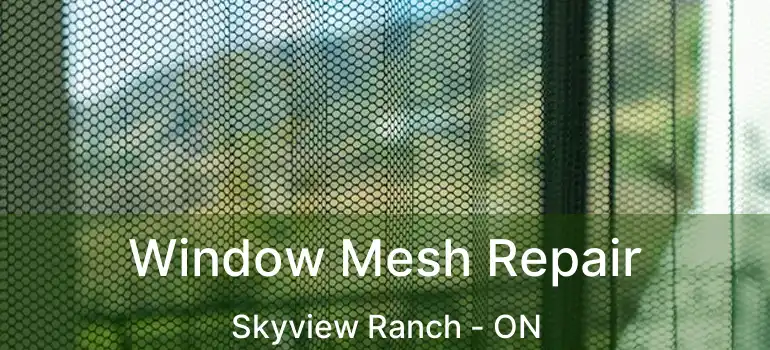Window Mesh Repair Skyview Ranch - ON
