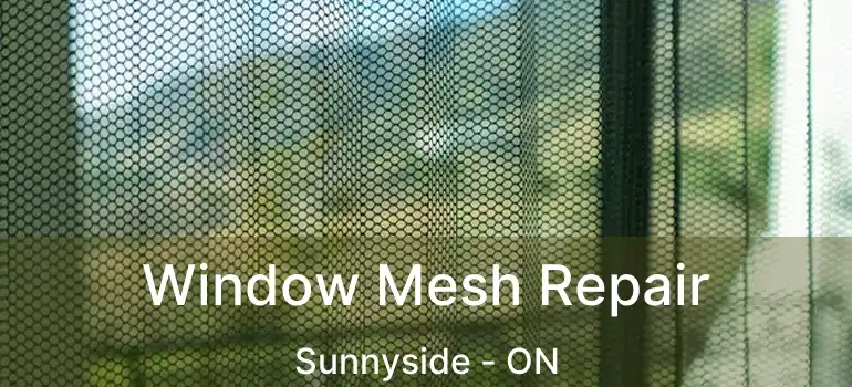 Window Mesh Repair Sunnyside - ON