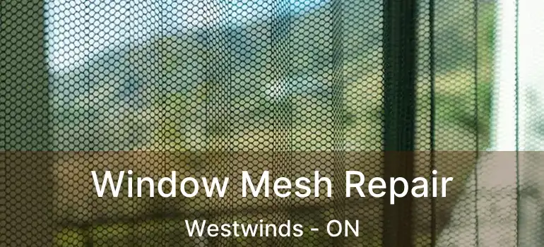 Window Mesh Repair Westwinds - ON