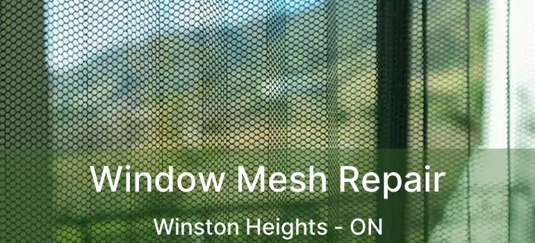 Window Mesh Repair Winston Heights - ON