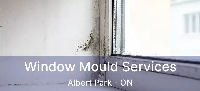Window Mould Services Albert Park - ON