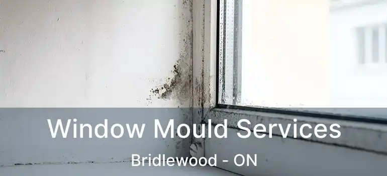 Window Mould Services Bridlewood - ON
