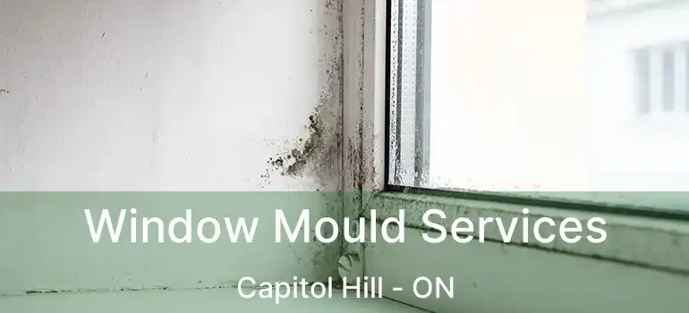 Window Mould Services Capitol Hill - ON