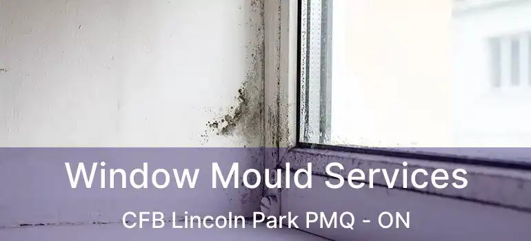 Window Mould Services CFB Lincoln Park PMQ - ON