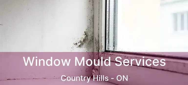 Window Mould Services Country Hills - ON