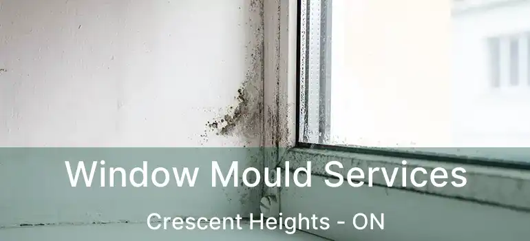 Window Mould Services Crescent Heights - ON