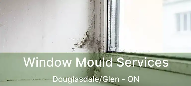 Window Mould Services Douglasdale/Glen - ON
