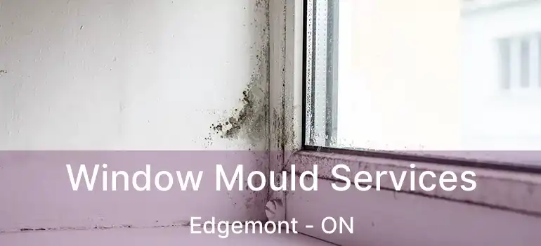 Window Mould Services Edgemont - ON