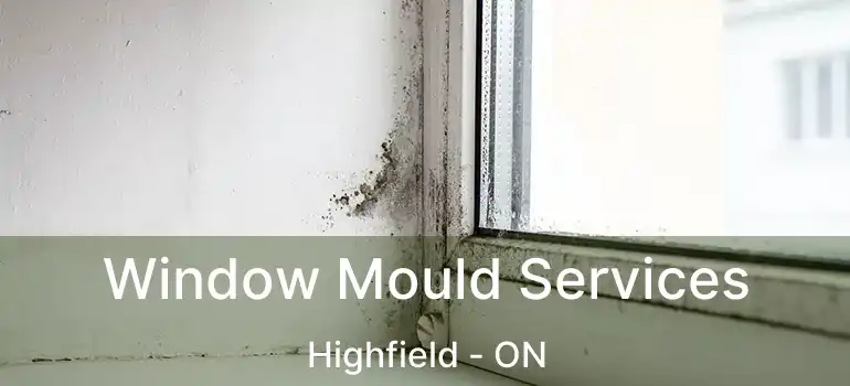 Window Mould Services Highfield - ON