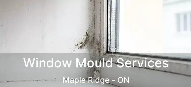 Window Mould Services Maple Ridge - ON