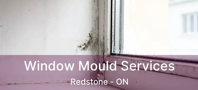 Window Mould Services Redstone - ON