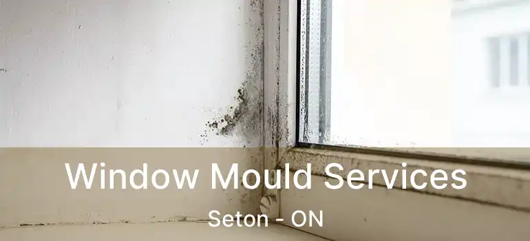 Window Mould Services Seton - ON
