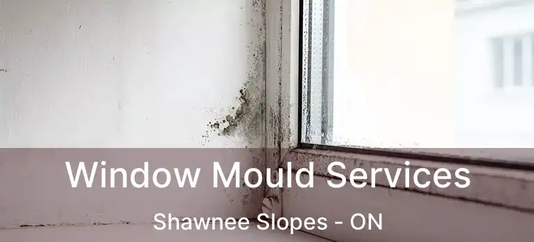 Window Mould Services Shawnee Slopes - ON