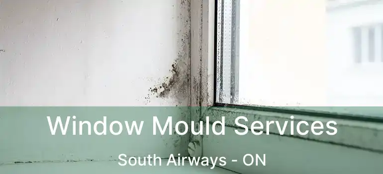 Window Mould Services South Airways - ON
