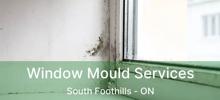 Window Mould Services South Foothills - ON