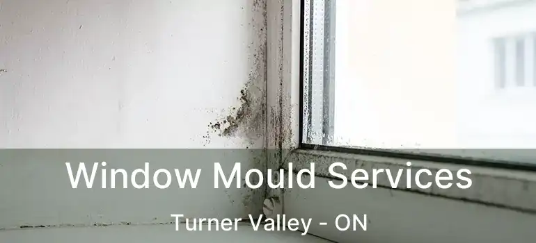 Window Mould Services Turner Valley - ON