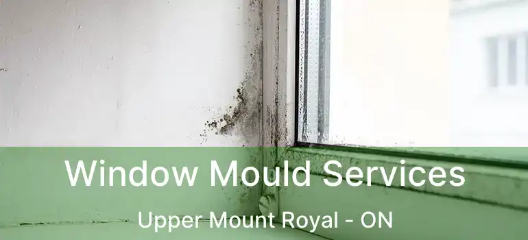Window Mould Services Upper Mount Royal - ON