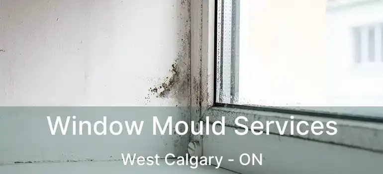 Window Mould Services West Calgary - ON