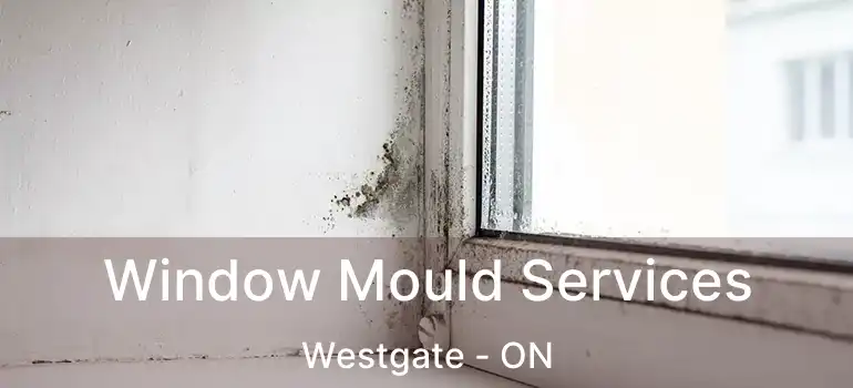Window Mould Services Westgate - ON