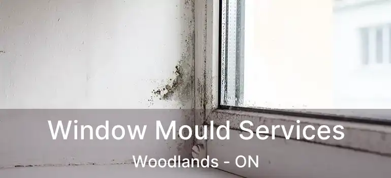 Window Mould Services Woodlands - ON