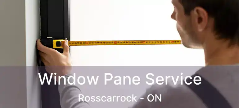 Window Pane Service Rosscarrock - ON
