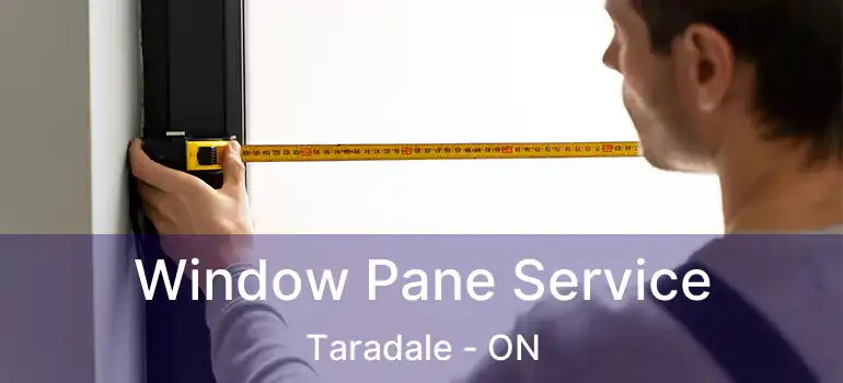 Window Pane Service Taradale - ON