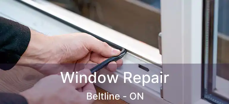 Window Repair Beltline - ON