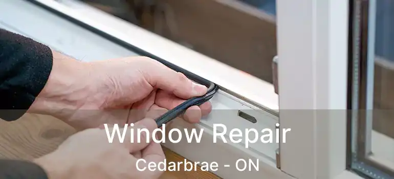 Window Repair Cedarbrae - ON