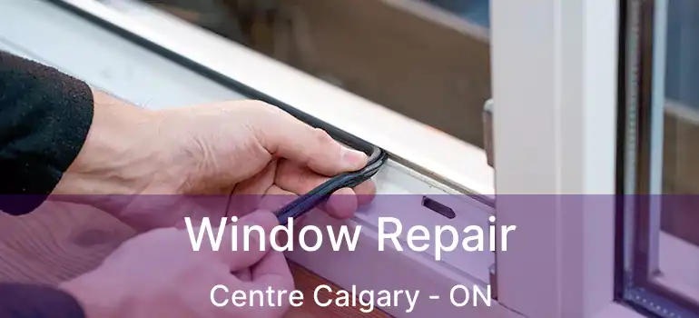 Window Repair Centre Calgary - ON