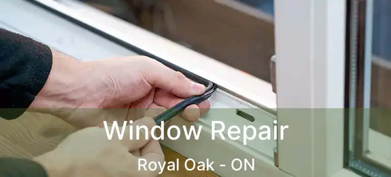 Window Repair Royal Oak - ON