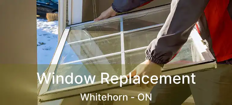 Window Replacement Whitehorn - ON