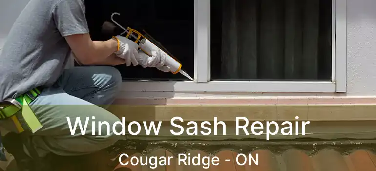 Window Sash Repair Cougar Ridge - ON