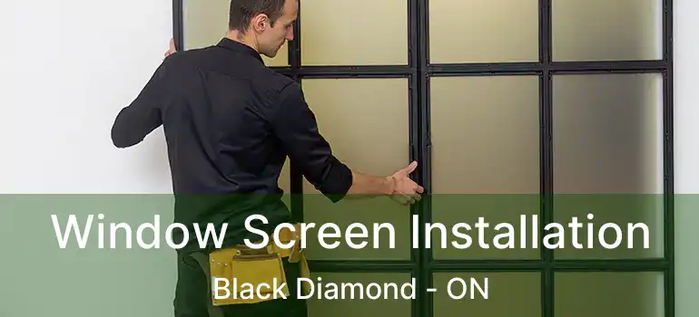 Window Screen Installation Black Diamond - ON
