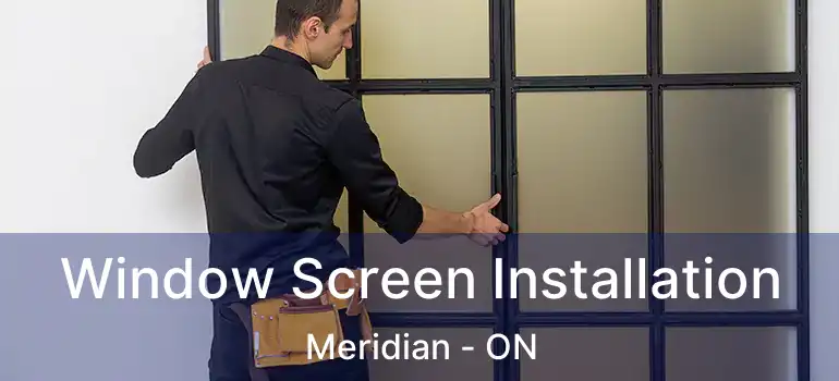 Window Screen Installation Meridian - ON