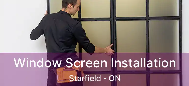 Window Screen Installation Starfield - ON